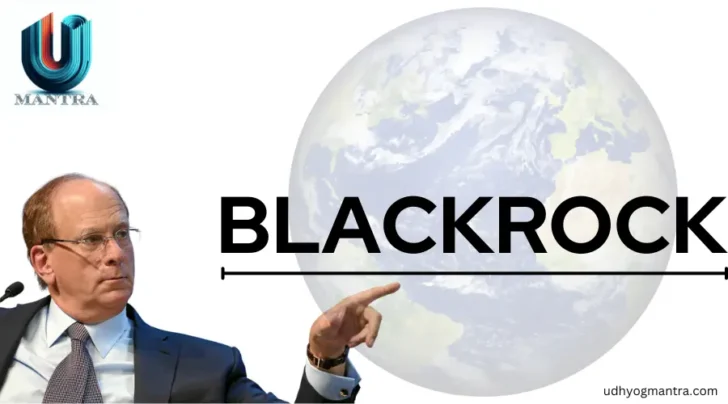 BlackRock Business Management and Strategy